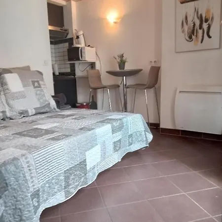 Studio Dans Le Centre Historique Apartament *